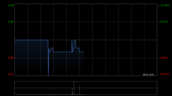 炒股配资手机版 大唐西市根据配售协议发行500万股配售股份