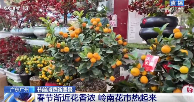 花市“热”起来涌动节前消费暖流