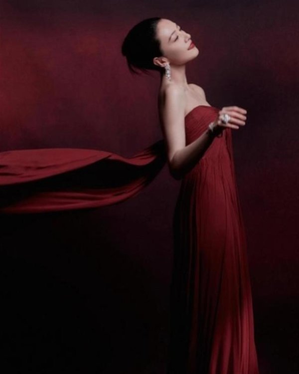 股票配资指南 46岁高圆圆红毯生图曝光！酒红长裙配盘发，岁月不败美人太绝了